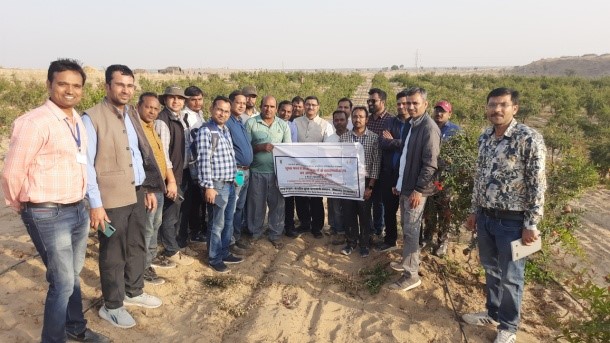 Success stories of Pomegranate