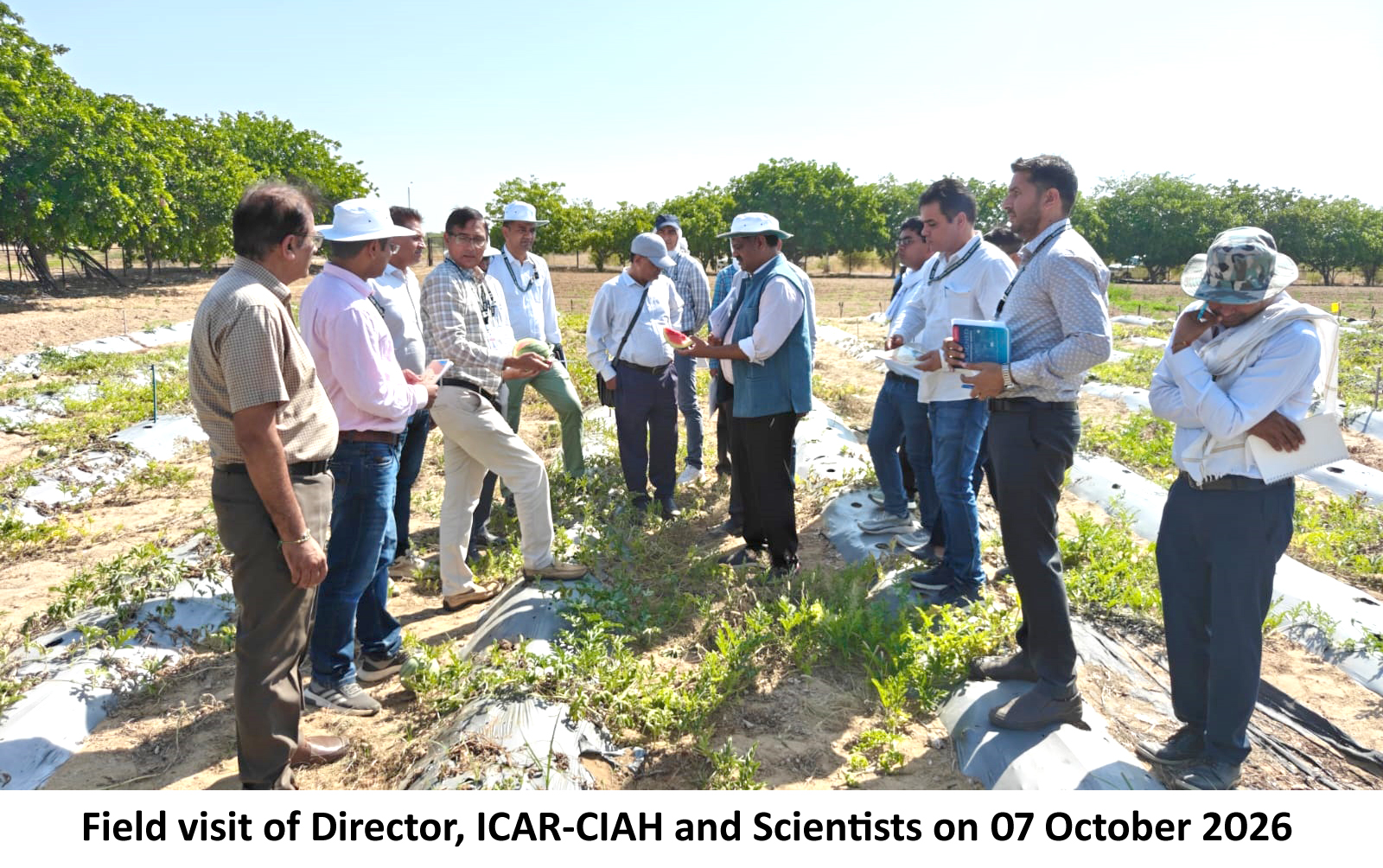 Field Visit