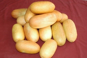 Snapmelon (AHS-82) Snapmelon (AHS-82)